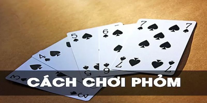 Cách chơi phỏm dễ hiểu nhất