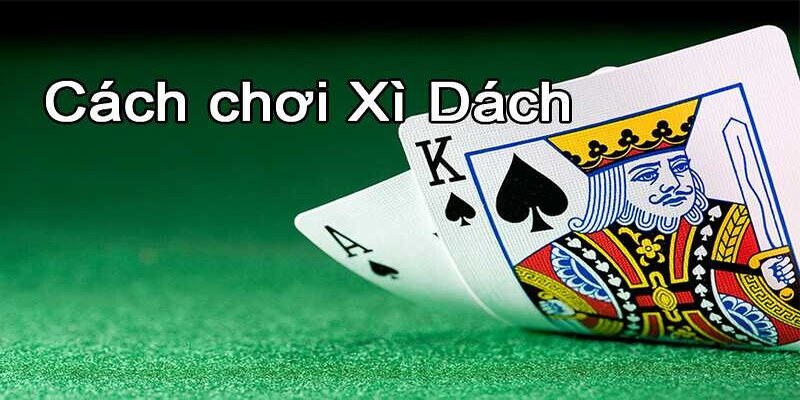 Quản lý tiền cược đóng vai trò quan trọng trong xì dách