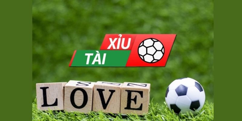 Đánh giá tổng quan về kèo